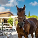 Ferienhaus Poggio Piero 2 By Interhome